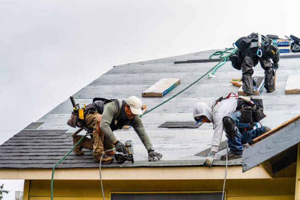 Professional Storm Damage Roof Repair technician working in Clarendon, TX